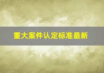 重大案件认定标准最新