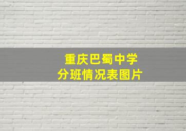 重庆巴蜀中学分班情况表图片