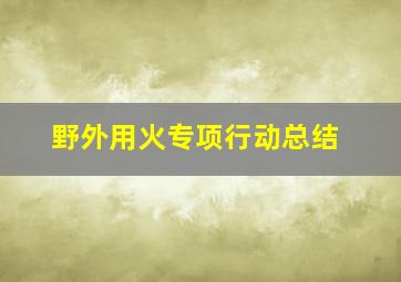 野外用火专项行动总结