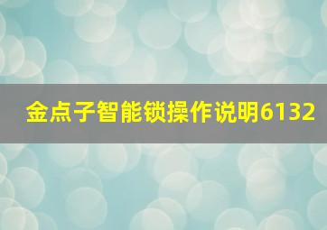 金点子智能锁操作说明6132