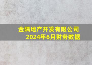 金隅地产开发有限公司2024年6月财务数据