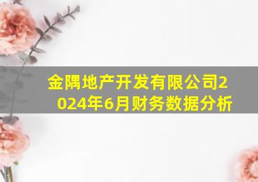 金隅地产开发有限公司2024年6月财务数据分析