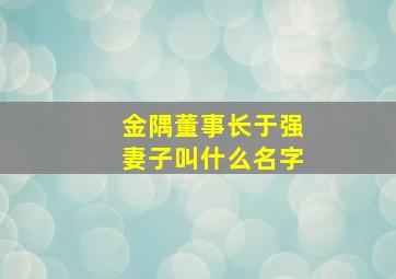 金隅董事长于强妻子叫什么名字