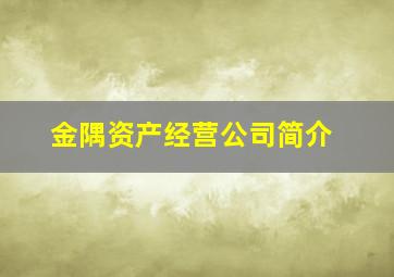 金隅资产经营公司简介