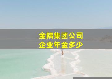 金隅集团公司企业年金多少