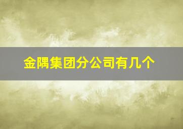 金隅集团分公司有几个