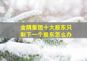 金隅集团十大股东只剩下一个股东怎么办