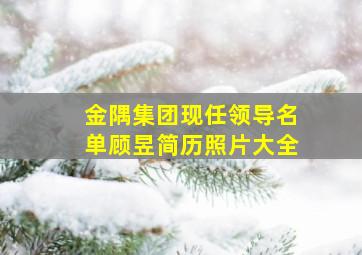 金隅集团现任领导名单顾昱简历照片大全