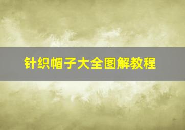 针织帽子大全图解教程