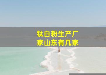 钛白粉生产厂家山东有几家