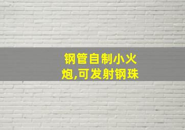 钢管自制小火炮,可发射钢珠