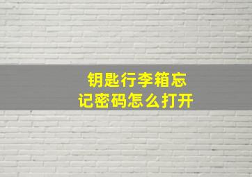 钥匙行李箱忘记密码怎么打开