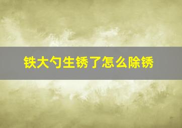 铁大勺生锈了怎么除锈