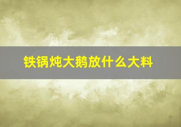 铁锅炖大鹅放什么大料