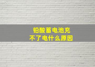 铅酸蓄电池充不了电什么原因