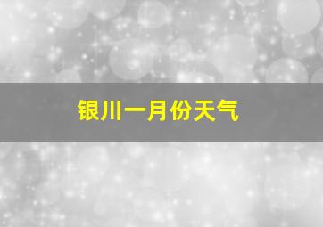 银川一月份天气