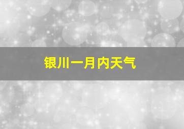 银川一月内天气