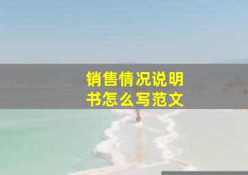 销售情况说明书怎么写范文