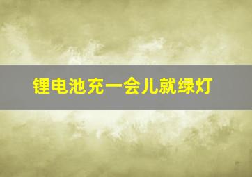 锂电池充一会儿就绿灯