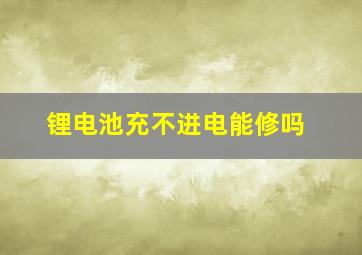 锂电池充不进电能修吗