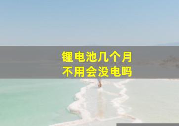 锂电池几个月不用会没电吗