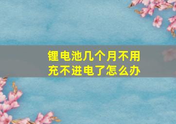 锂电池几个月不用充不进电了怎么办