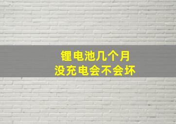 锂电池几个月没充电会不会坏