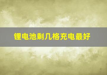 锂电池剩几格充电最好