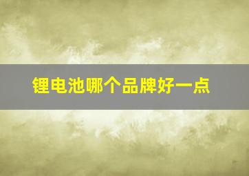 锂电池哪个品牌好一点