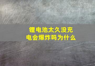 锂电池太久没充电会爆炸吗为什么