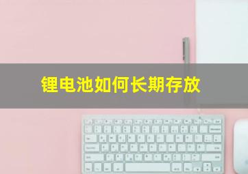 锂电池如何长期存放