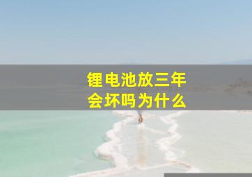 锂电池放三年会坏吗为什么