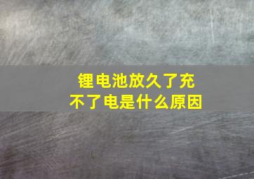 锂电池放久了充不了电是什么原因