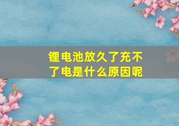 锂电池放久了充不了电是什么原因呢