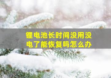 锂电池长时间没用没电了能恢复吗怎么办