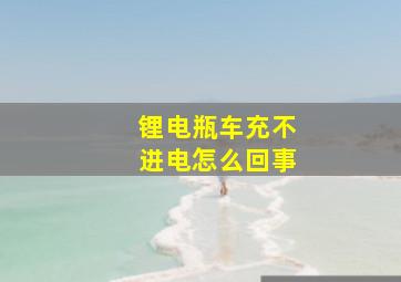 锂电瓶车充不进电怎么回事