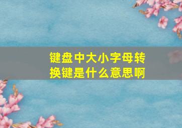 键盘中大小字母转换键是什么意思啊