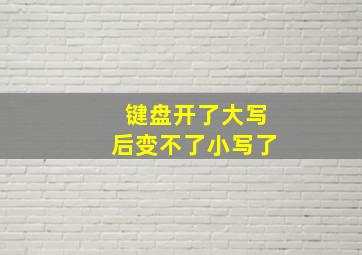 键盘开了大写后变不了小写了