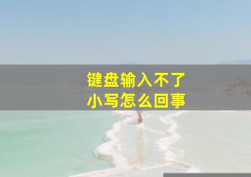 键盘输入不了小写怎么回事