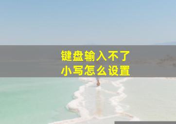 键盘输入不了小写怎么设置