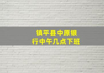 镇平县中原银行中午几点下班