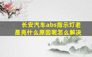 长安汽车abs指示灯老是亮什么原因呢怎么解决