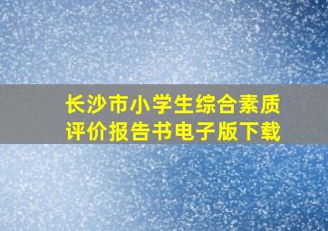 长沙市小学生综合素质评价报告书电子版下载