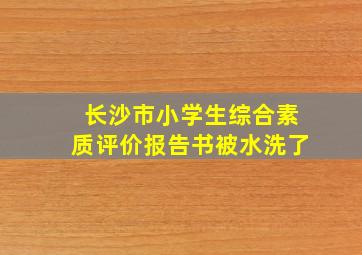 长沙市小学生综合素质评价报告书被水洗了