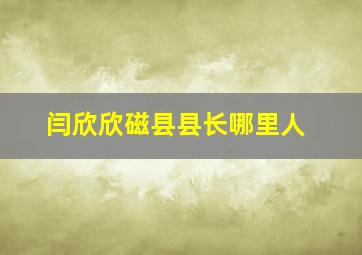 闫欣欣磁县县长哪里人