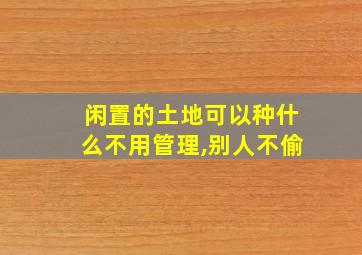 闲置的土地可以种什么不用管理,别人不偷