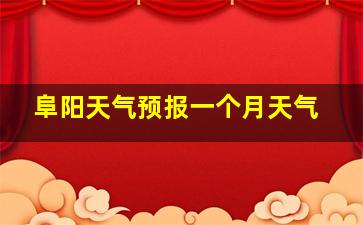 阜阳天气预报一个月天气