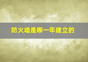 防火墙是哪一年建立的