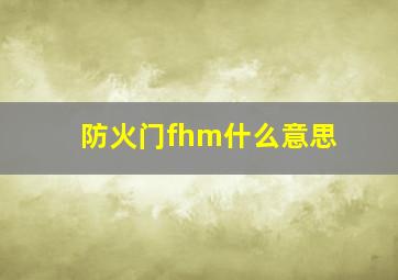 防火门fhm什么意思