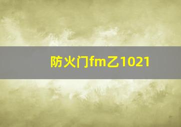 防火门fm乙1021